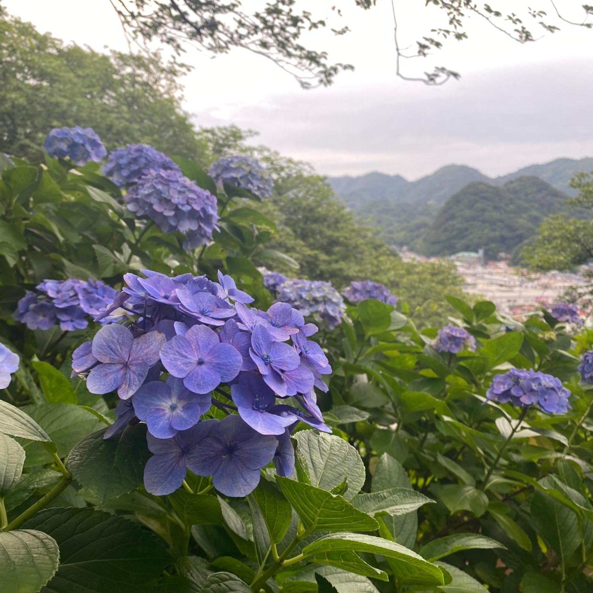 Toraya Attic Villa Shimoda  Exterior photo
